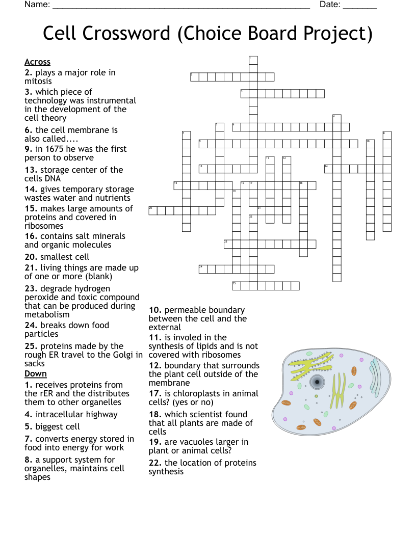 Solve the Theory Crossword Puzzle: Complete Clue Guide