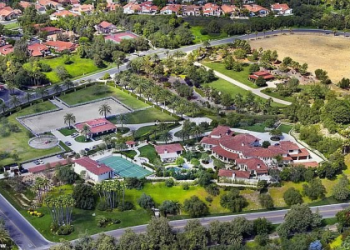 Ciara Wilson Net Worth: Exploring Her Income and Assets