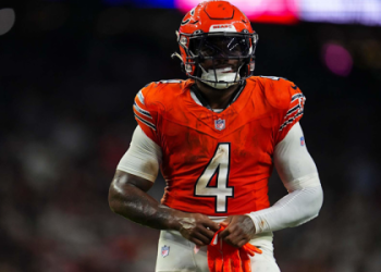 DAndre Swift or Raheem Mostert: Who to Start for Week 12?