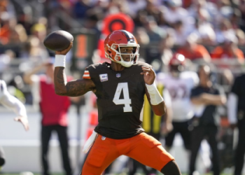 Need a Deshaun Watson Fantasy Name? Check These Out