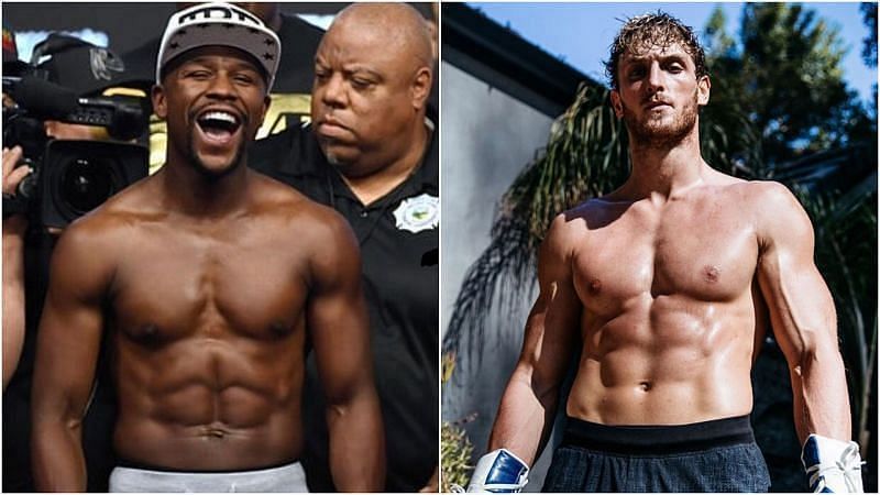 Curious About Logan Paul Height Weight? Find Out Here!