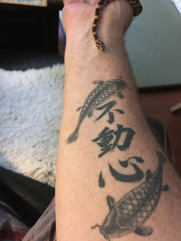 Unlocking the Koi Fish and Dragon Tattoo Meaning: A Quick Look