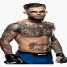 Cody Garbrandt Net Worth: The Real Story Behind His Wealth and Success.
