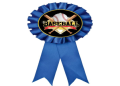 What is blue ribbon baseball (learn more about this special baseball award)