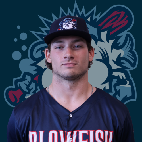 How Good is Drake Amick Baseball? Check out his career now!