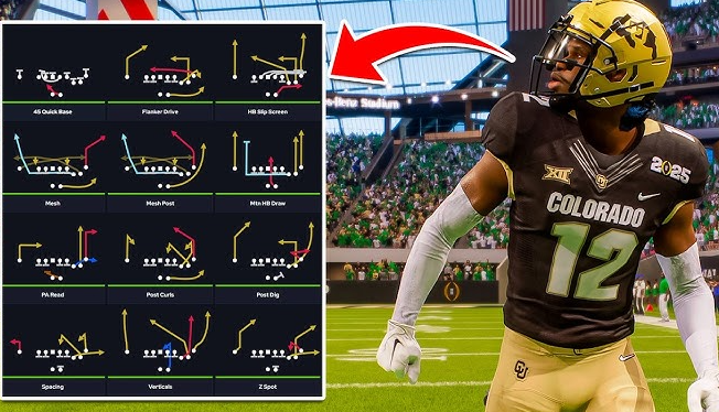 Best Playbook in NCAA: Simple Strategies That Make a Big Difference on the Field!