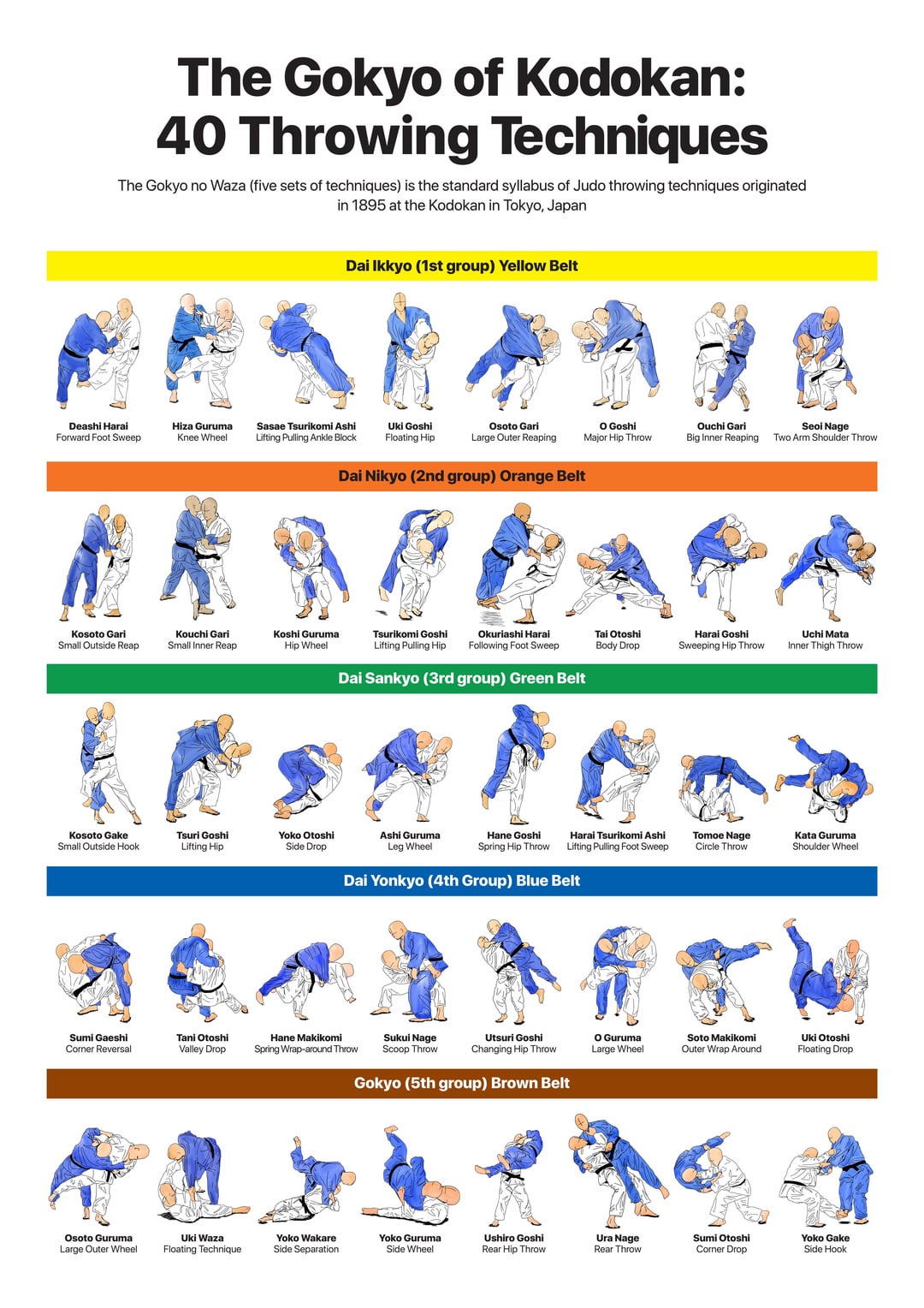 NYTs Guide to Judo Ranks: Key Milestones in Judo