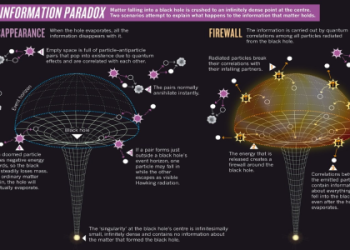 Nobody Wants to Die in Bets Ending: Theories Explored