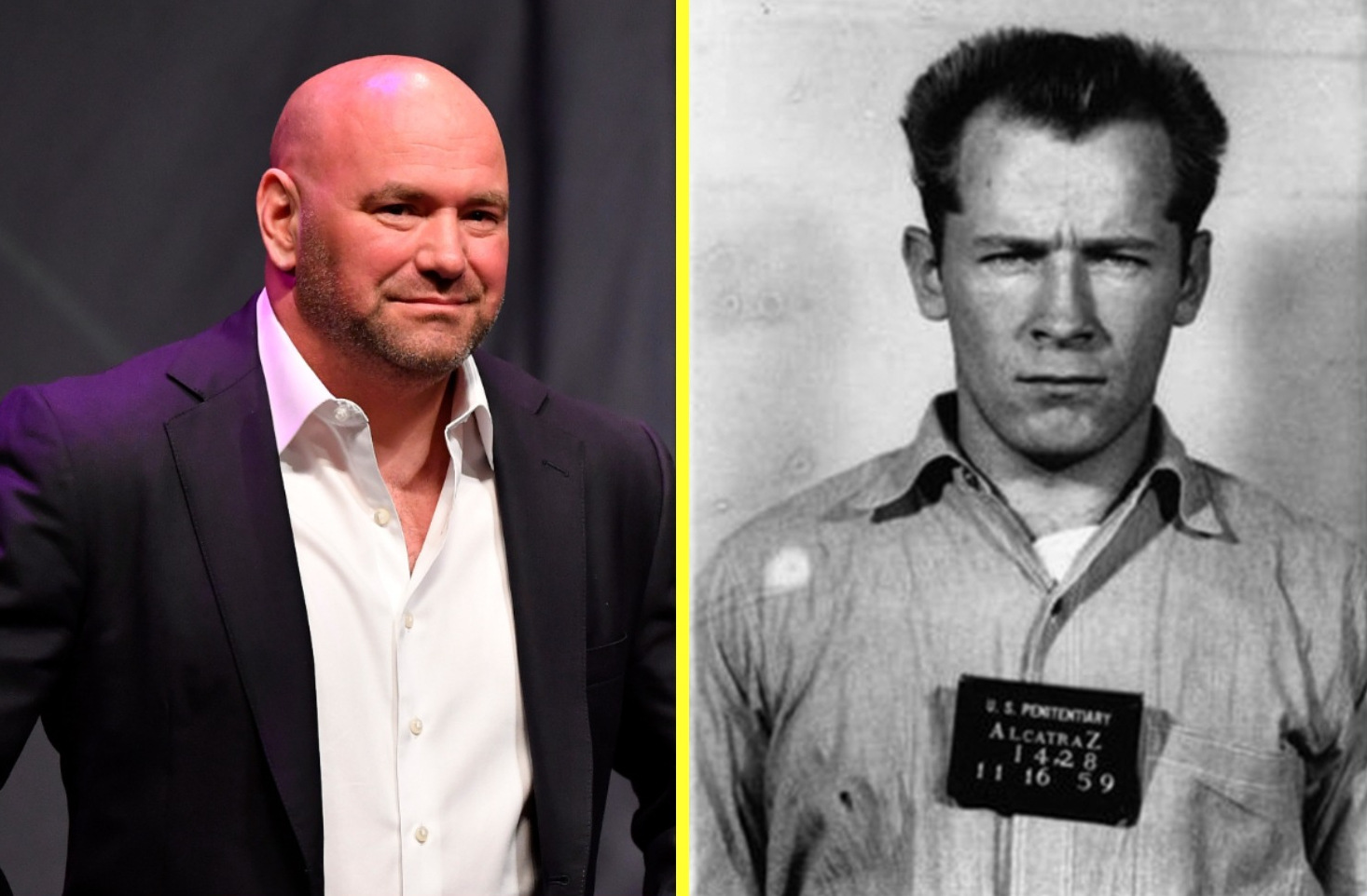 Dana Whites Connection to Whitey Bulger: Whats the Deal?