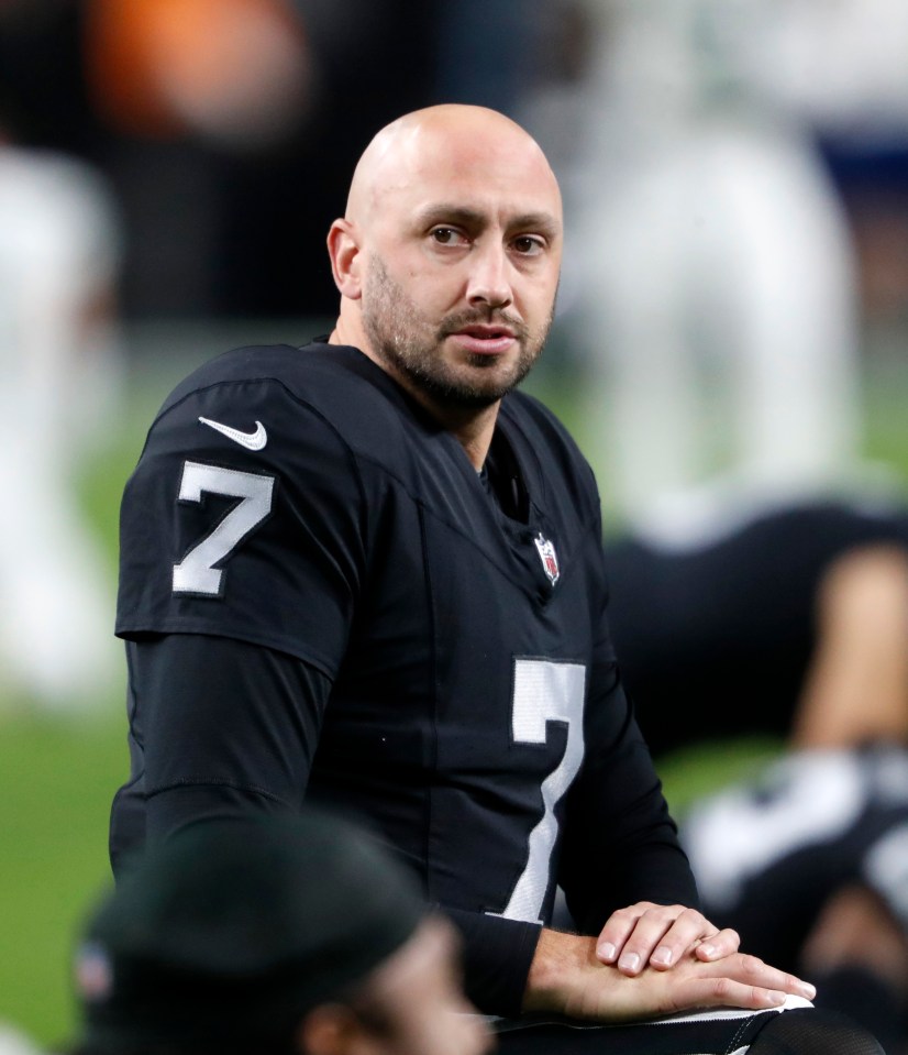 Brian Hoyer Career Earnings: See His Financial Breakdown