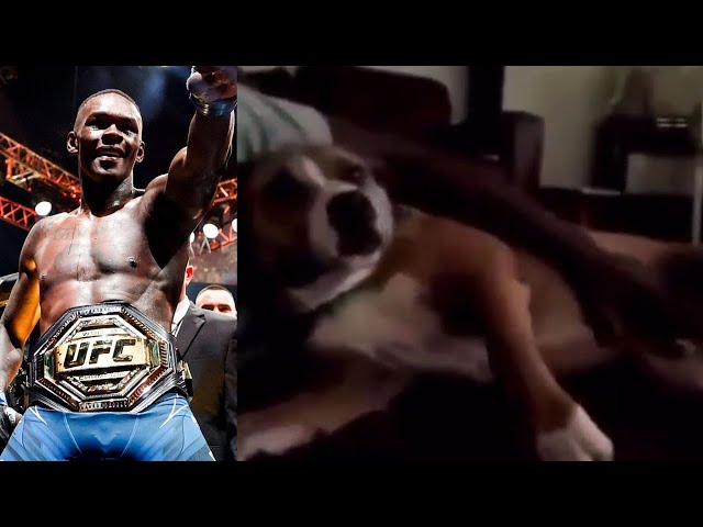 Shocking: What Did Israel Adesanya Actually Do To His Dog?
