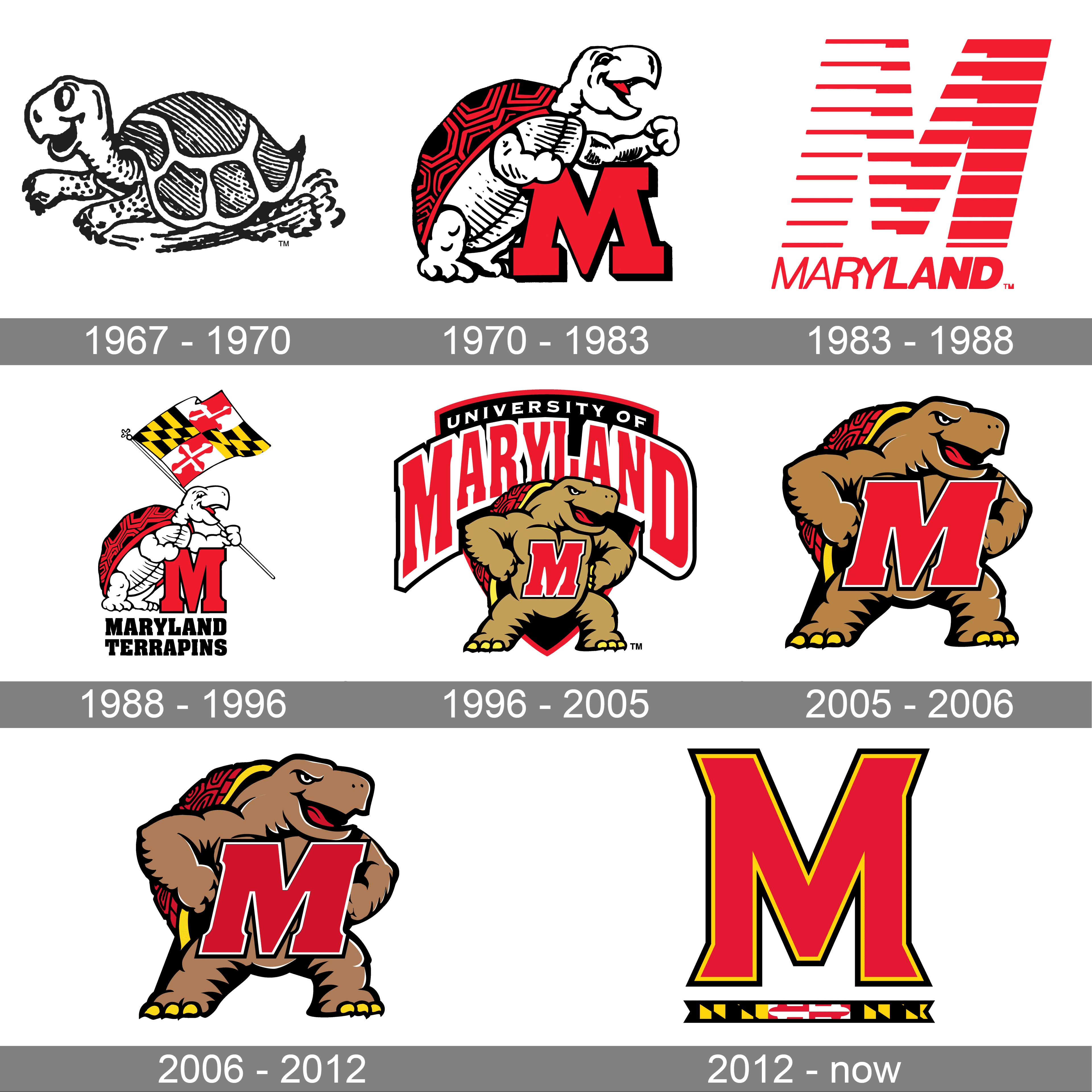 Maryland Terrapins Logo Through the Years: A History